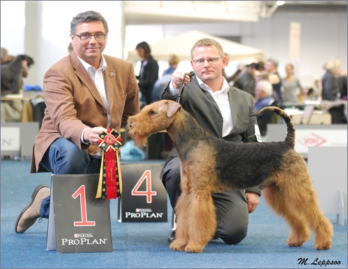 Bundessieger 2014